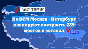 На ВСМ Москва - Петербург планируют построить 239 мостов и эстакад