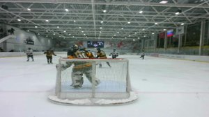 Арена север главная ворота 1