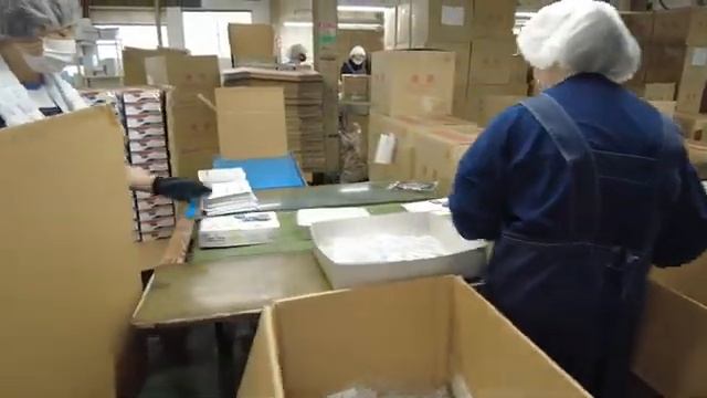 AOSHIMA ПУСТИЛИ НАС НА ЗАВОД смотреть онлайн