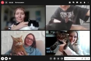 1 марта - День кошек в России.🫰