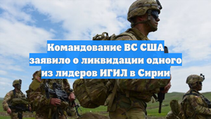 Командование ВС США заявило о ликвидации одного из лидеров ИГИЛ в Сирии