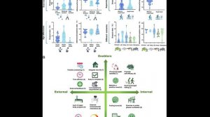 Короткие серии упражнений: обзор и консенсус определение, эффективность, осуществимость, применение