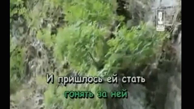 Птица удачи смотреть онлайн