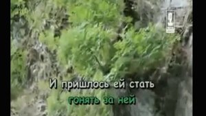 Птица удачи