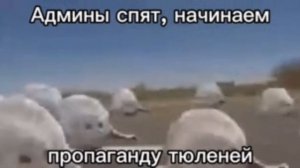 Админы спят, начинаем пропаганду тюленей