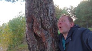 07 - Кричащее Дерево - 2025