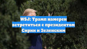 WSJ: Трамп намерен встретиться с президентом Сирии и Зеленским