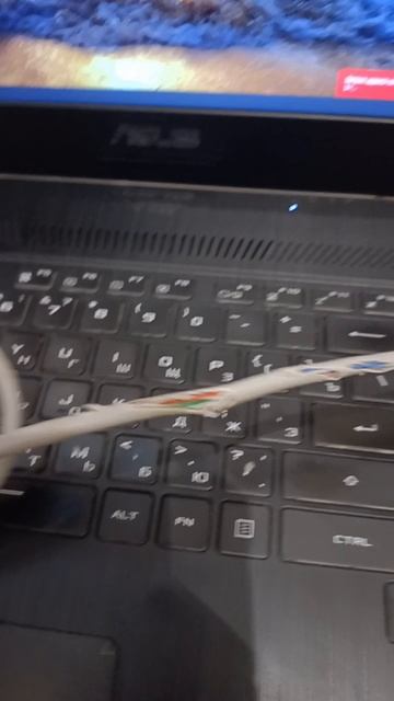 Мыши потушили асик )) смотреть онлайн