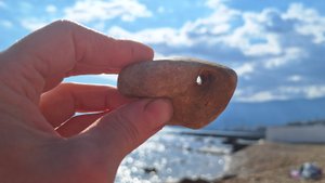 Мы ездили на море ⛵