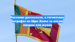 Россияне рассказали, о гигантских штрафах на Шри-Ланке за ловлю ящериц или жуков