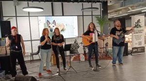 KOSATKA project ("Рок в защиту животных" Нижний Новгород 20-09-2025)