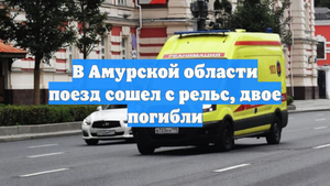 В Амурской области поезд сошел с рельс, двое погибли