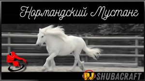 Нормандской Мустанг. DJ Shubacraft. COVER Mix