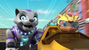 Щенячий патруль Мир Бухты Приключений