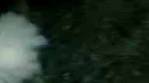 Голуби детства #9