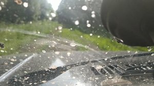 вот и съездил за грибочками