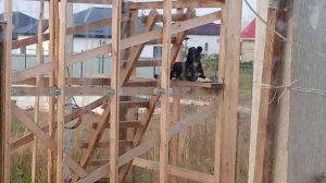 Обеденное время- отдых