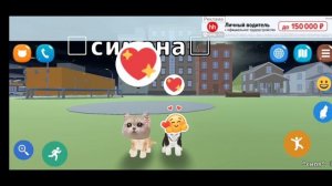 смальки + котики