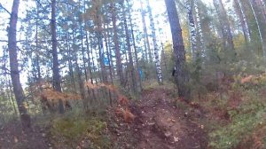 по следам "3 Богатыря" 2025. серебро