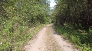 Велопоход Партизанск - Уссурийск по лесовозным дорогам 15-19 сентября 2025 г.