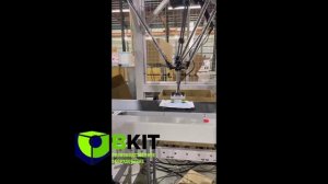 Автоматическая линия картонации в короб робот-триподом с фотодетекцией продукта.