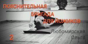 Пояснительная бригада для йожиков. Выпуск 2 . О чувствительности.