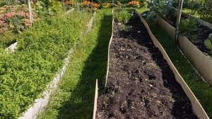 20 сентября. Дачные дела.