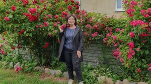 Хорошее настроение и прогулка в дождливый осенний день.☔🌿🍂Калининград.🌧️