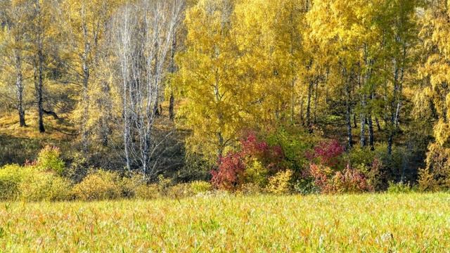 От СНТ Черёмушки по полям, вдоль забора аэропорта Леонова. Кемерово ч 1