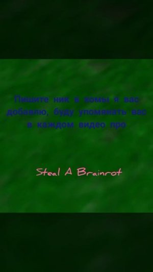 укради брейрот випка