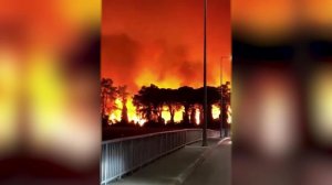 Из Турции приходят кадры пожаров в районе популярных у туристов курортов Антальи