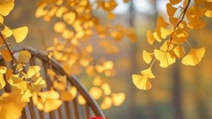 День Осеннего Равноденствия.Музыкальная Открытка