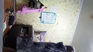 я летучая мышь в плаще