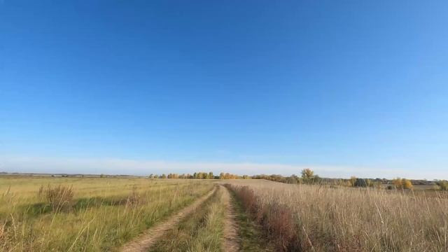 В гостях у тишины. 😊