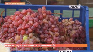 Старый базар. 13 сентября 2025