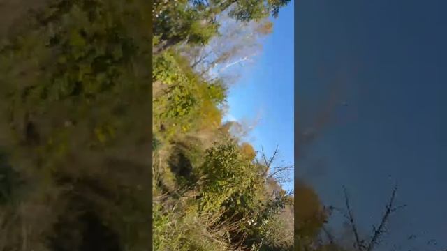 .. смотреть онлайн