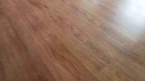 1000030731.mp4