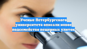 Ученые Петербургского университета описали новое подсемейство пещерных улиток