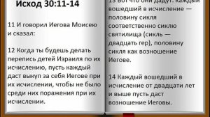 Пол сикля серебра