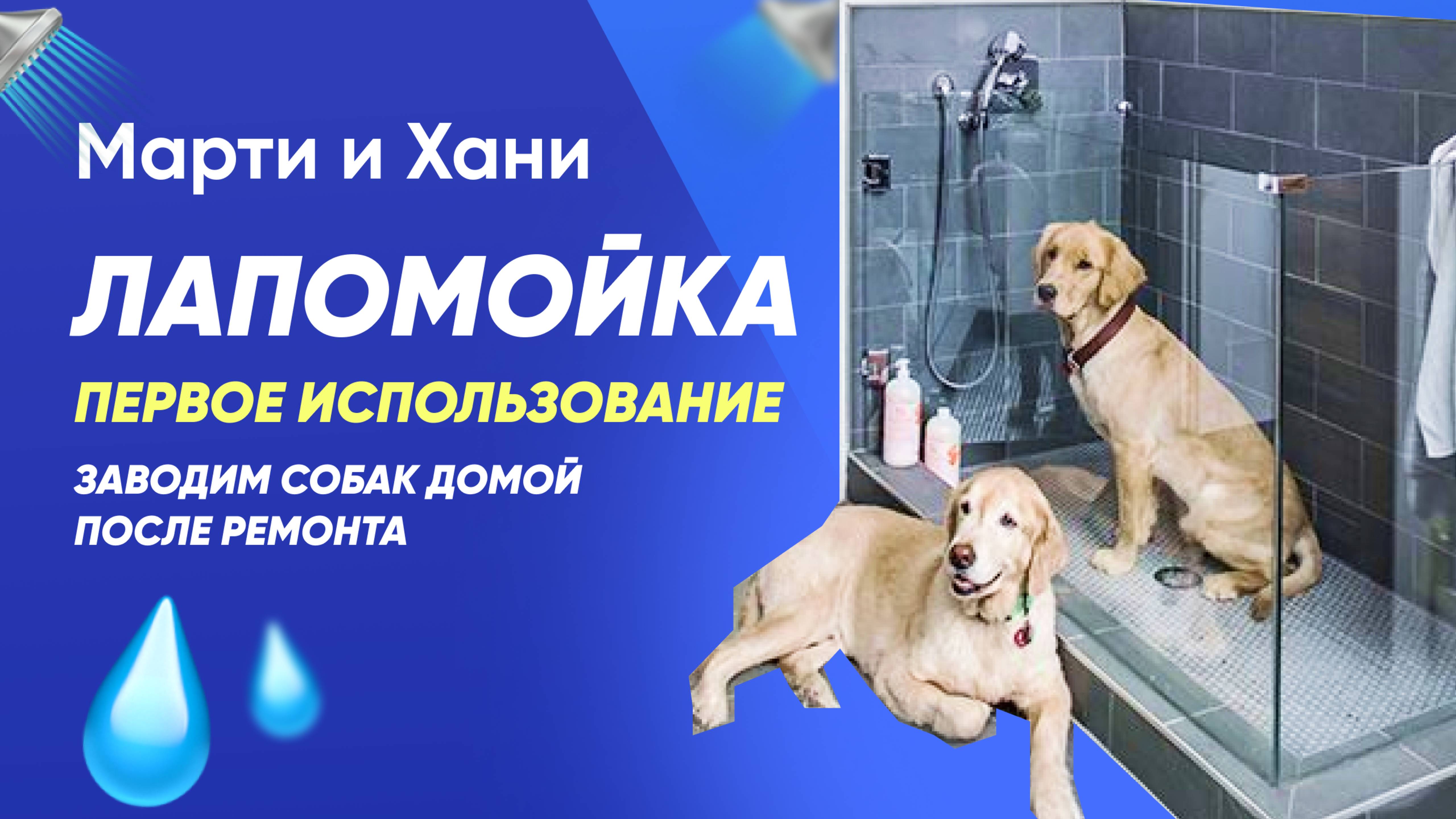 ЛАПОМОЙКА ДЛЯ СОБАК / ПЕРВОЕ ИСПОЛЬЗОВАНИЕ / ЗАВОДИМ СОБАК ДОМОЙ СПУСТЯ 2 МЕСЯЦА РЕМОНТА
