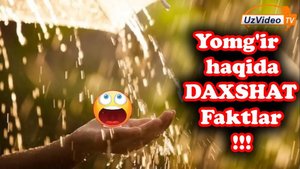 Yomg‘ir haqida qiziqarli ma’lumotlar, faktlar va kerakli qoidalar !!!