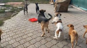 Погода сегодня просто волшебная. Словно лето к нам снова вернулось. Жаль только, что темнеет рано, т