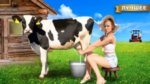 Городская Крашиха в Деревне 24 часа!