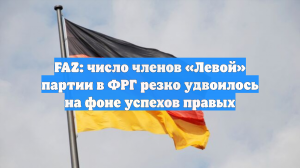 FAZ: число членов «Левой» партии в ФРГ резко удвоилось на фоне успехов правых