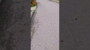 Куликова поле