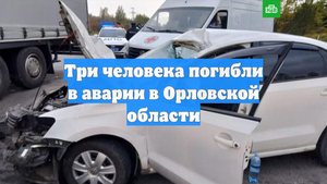 Три человека погибли в аварии в Орловской области