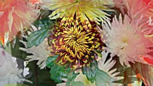 Видеофоны! Видеофон Осенняя цветочная фантазия 1 от Киностудии Мудрого Кота Тимофея!