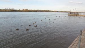 18 сентября 2025 г Енисей набережная  Красноярск- вид с правого берега города  номер 5 MVI_9812