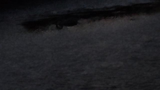 лебеди на реке Кальчик смотреть онлайн