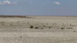 Прибрежное. Лечебные грязи. Соленое озеро Сиваш. 17.09.25. Осень